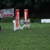 agility 2011-09